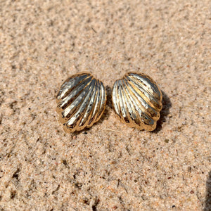 14K Yellow Gold Hammered Shell Earrings