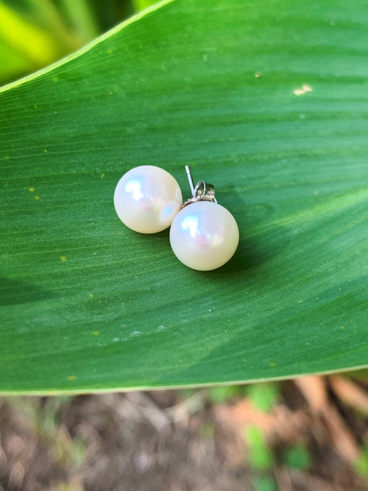 Pearl Stud Earrings